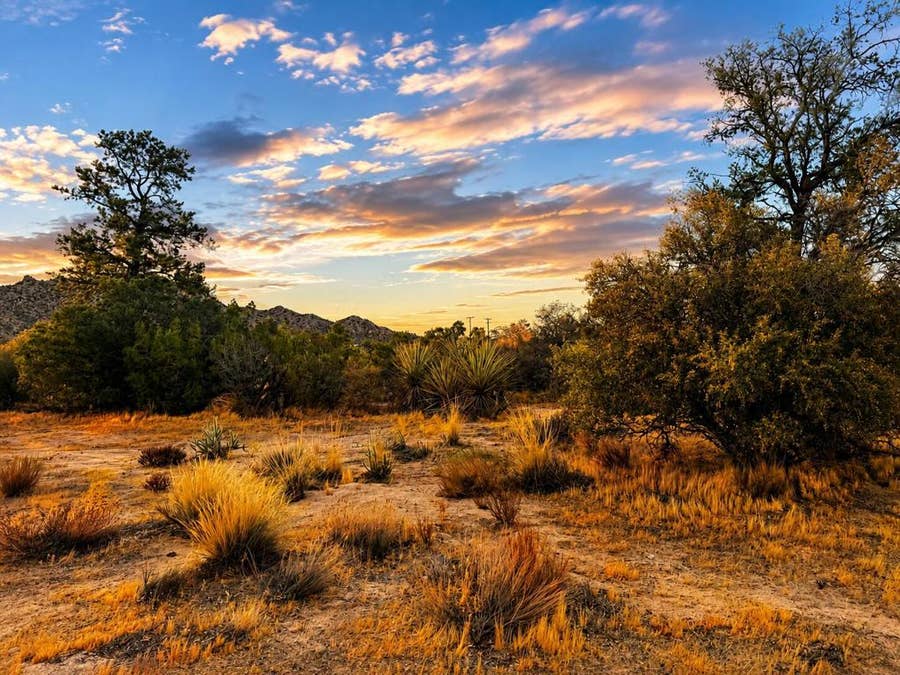 Property photo for 529 Saint Bernard Drive, Mountain Center, CA