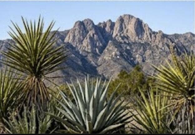 Property photo for 63330 Jeraboa Road, Mountain Center, CA