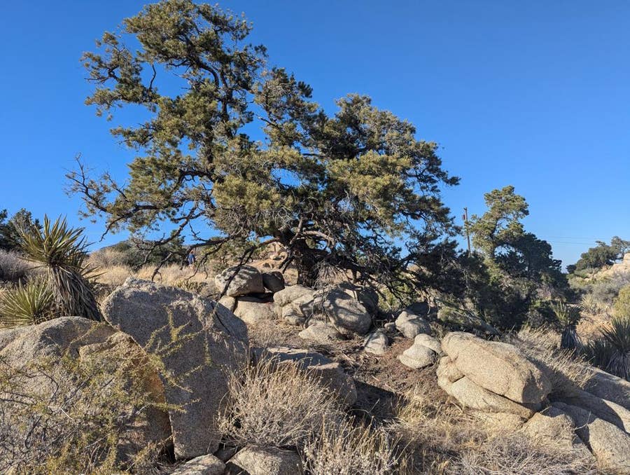 Property photo for Mountain Park Road, Mountain Center, CA