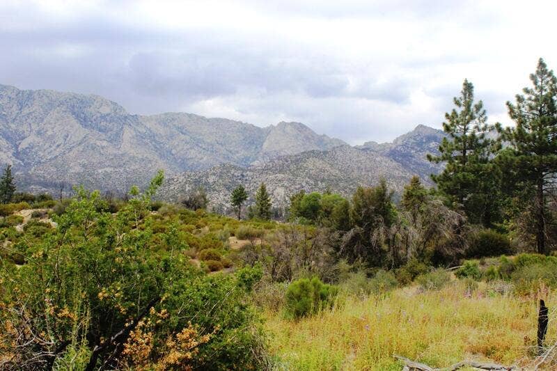 Property photo for 0 Bonita Vista Road, Mountain Center, CA