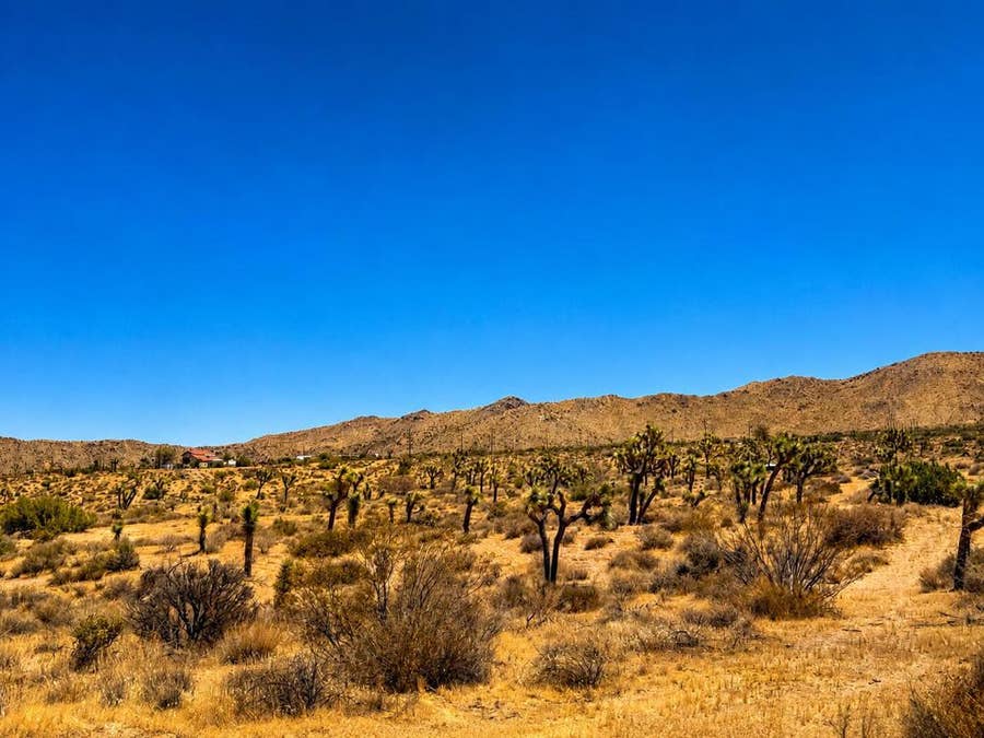 Property photo for 58920 Lisbon Drive, Yucca Valley, CA