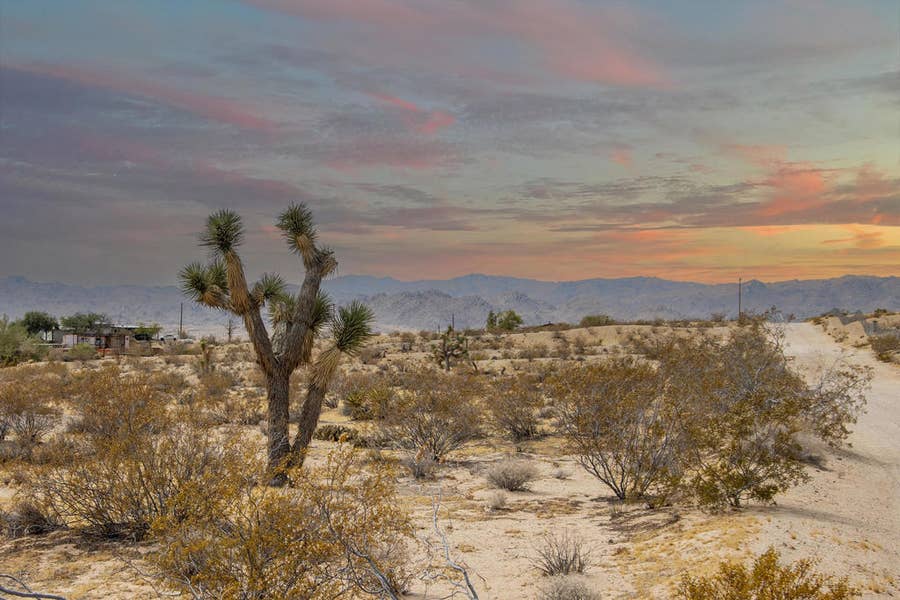 Property photo for 62121 Aberdeen Drive, Joshua Tree, CA