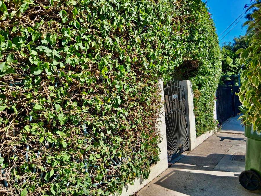 Property photo for 10328 Hickory Street, Los Angeles, CA