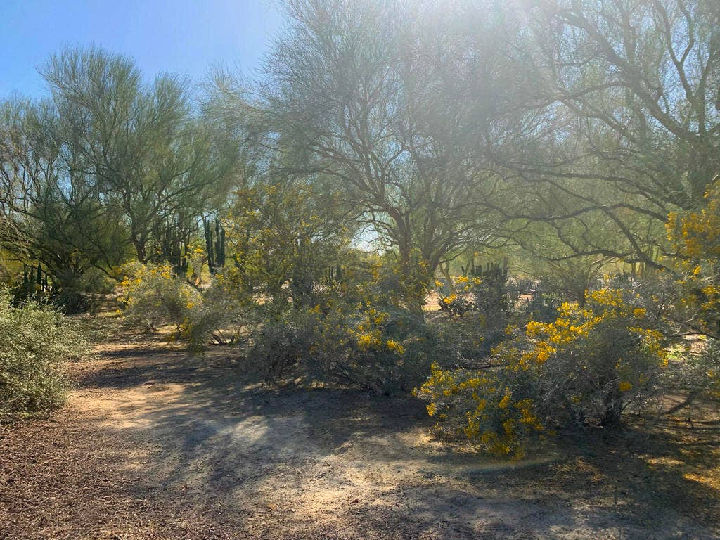 82501 65th Avenue, Thermal, CA 92274 Ground Photo