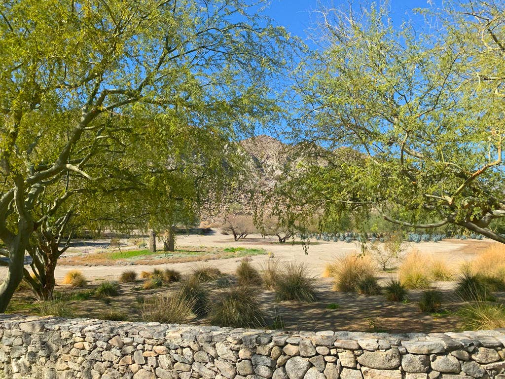 82501 65th Avenue, Thermal, CA 92274 Ground Photo