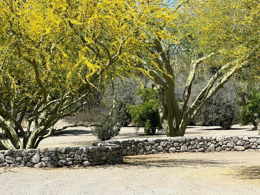 82501 65th Avenue, Thermal, CA 92274 Ground Photo