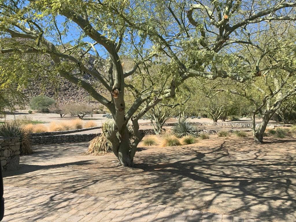 82501 65th Avenue, Thermal, CA 92274 Ground Photo