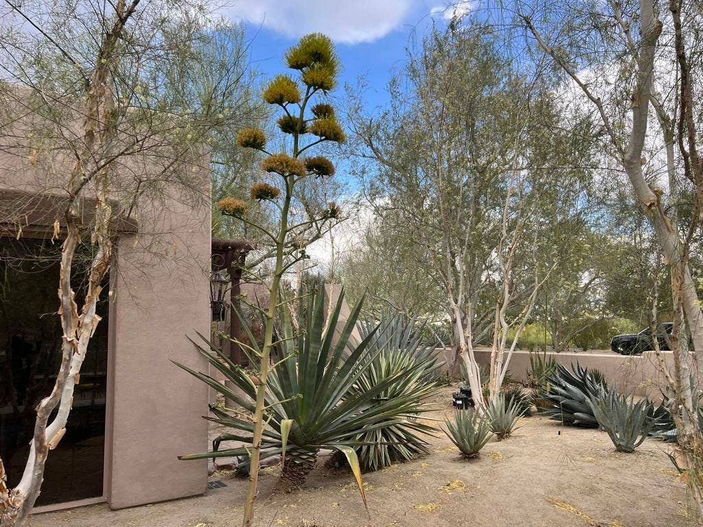 82501 65th Avenue, Thermal, CA 92274 Home