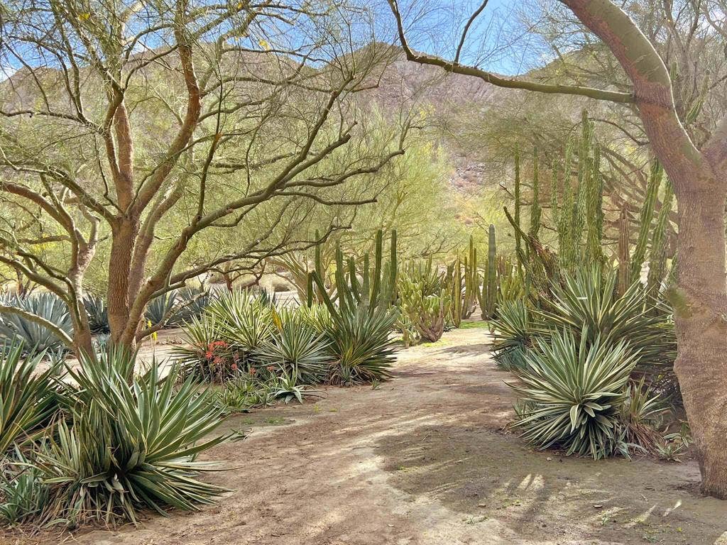 82501 65th Avenue, Thermal, CA 92274 Ground Photo