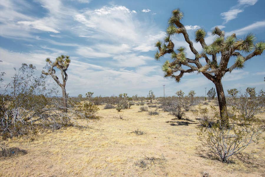 Property photo for 138 La Brisa Road, Yucca Valley, CA