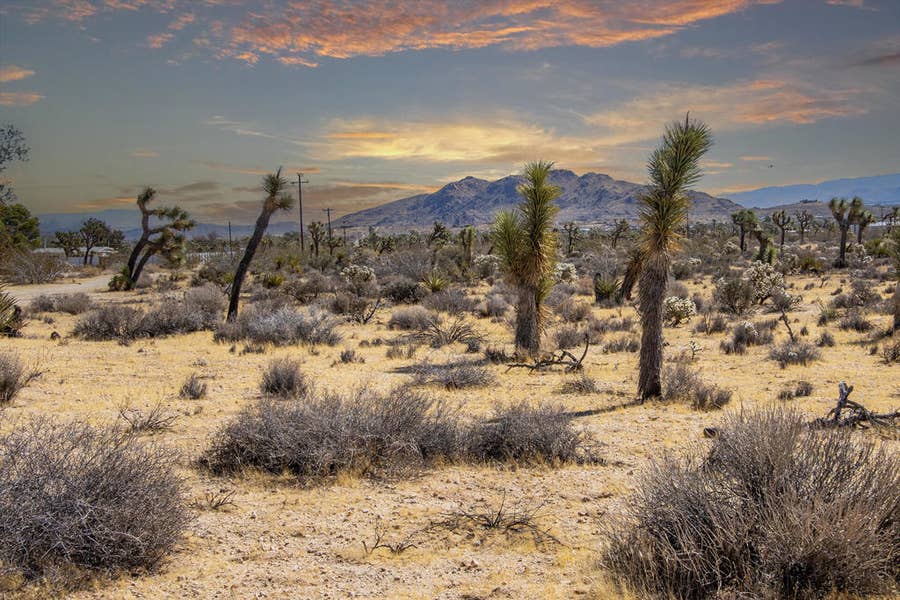 Property photo for 58470 Mesa Drive, Yucca Valley, CA