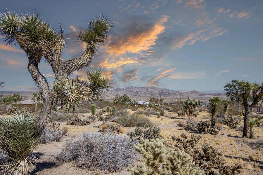 Property photo for 60586 La Mirada Trail, Joshua Tree, CA