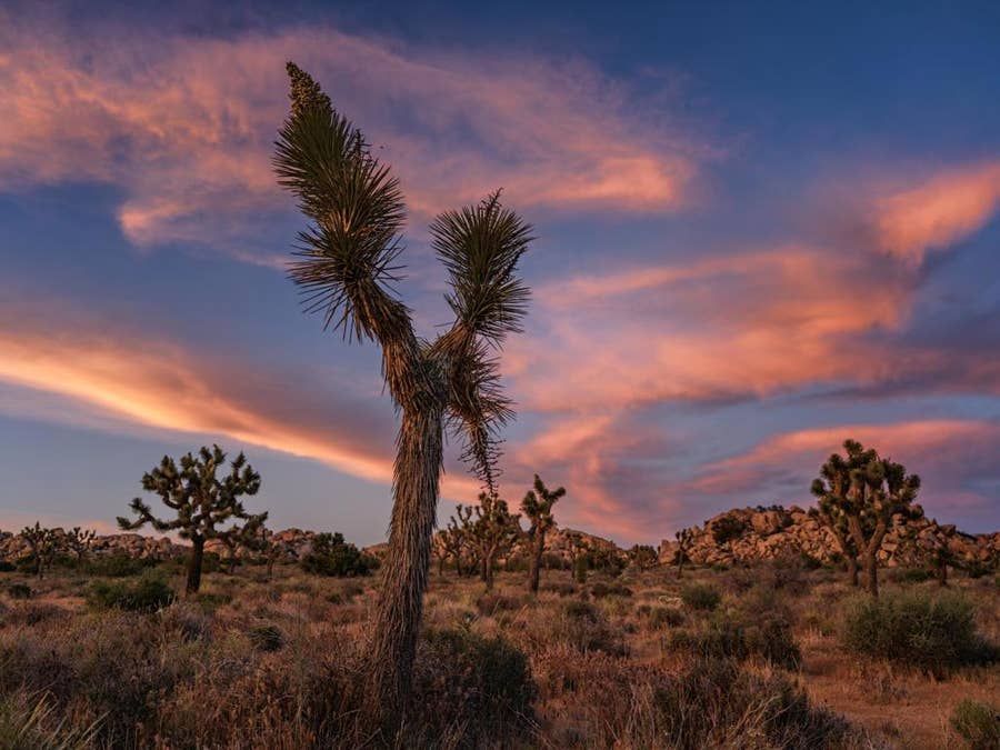 Property photo for 0 Gods Way Love Road, Pioneertown, CA