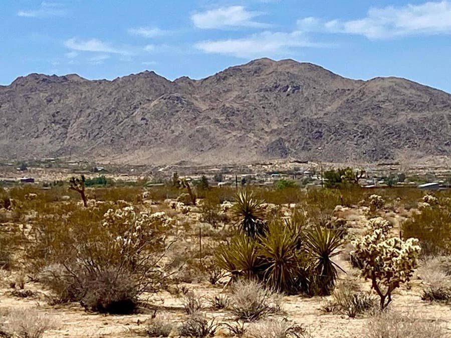 Property photo for 117 Border Road, Joshua Tree, CA