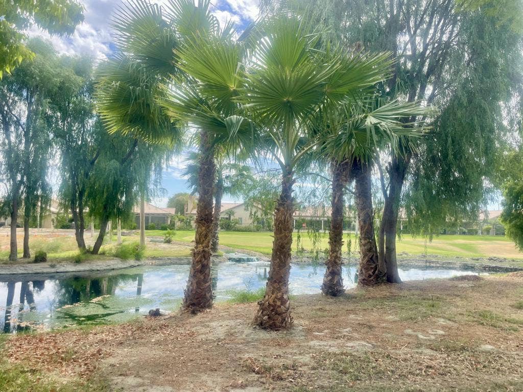 49634 Wayne Street, Indio, CA 92201 Golf Course