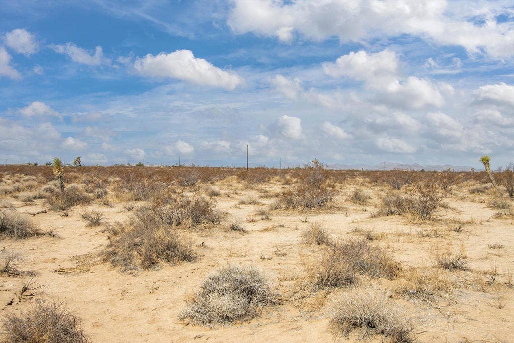 210 Kuna Avenue, Landers, CA 92285 IMG_0357