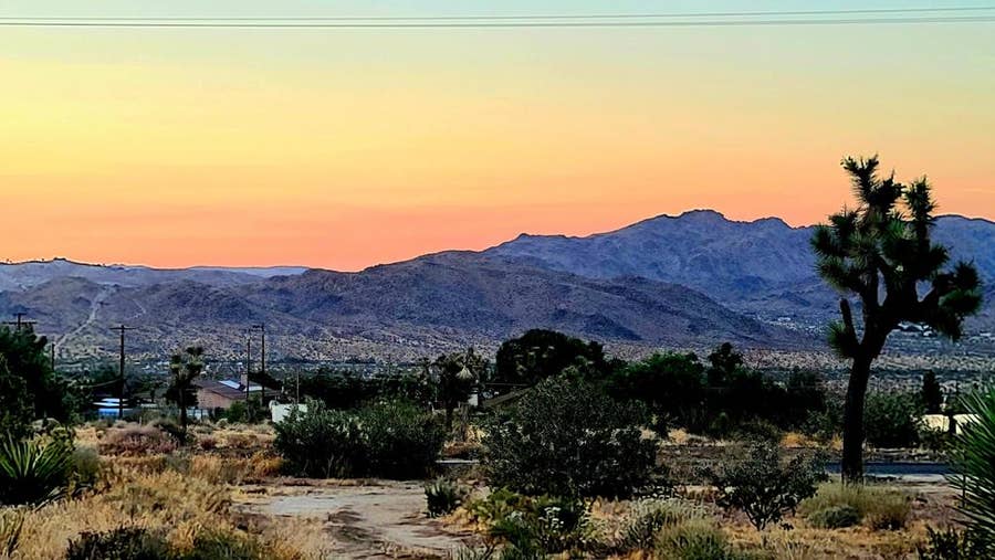 Property photo for 60307 Alta Loma Drive, Joshua Tree, CA