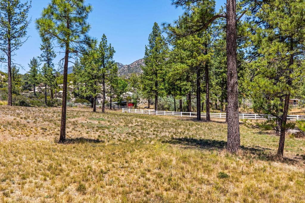 36350 Butterfly Peak Road, Mountain Center, CA 92561 91-web-or-mls-Butterfly Peak 091