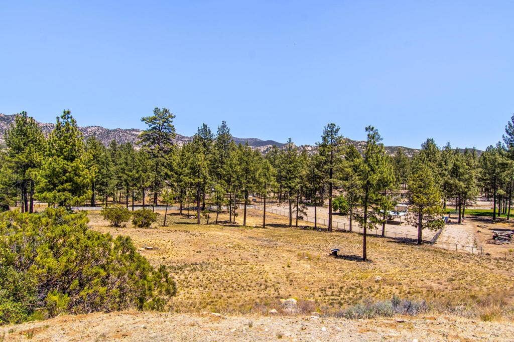 36350 Butterfly Peak Road, Mountain Center, CA 92561 86-web-or-mls-Butterfly Peak 086