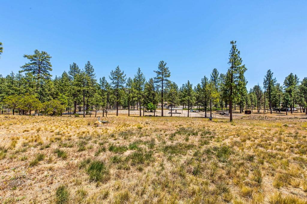 36350 Butterfly Peak Road, Mountain Center, CA 92561 88-web-or-mls-Butterfly Peak 088