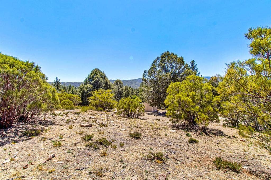 36350 Butterfly Peak Road, Mountain Center, CA 92561 82-web-or-mls-Butterfly Peak 082