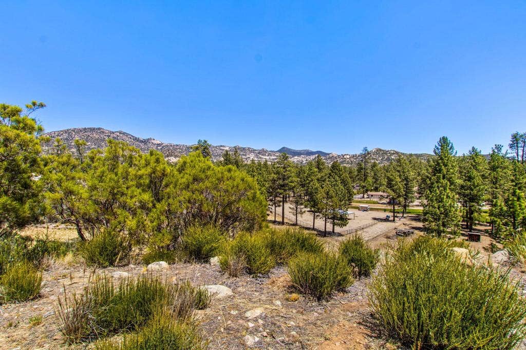 36350 Butterfly Peak Road, Mountain Center, CA 92561 80-web-or-mls-Butterfly Peak 080
