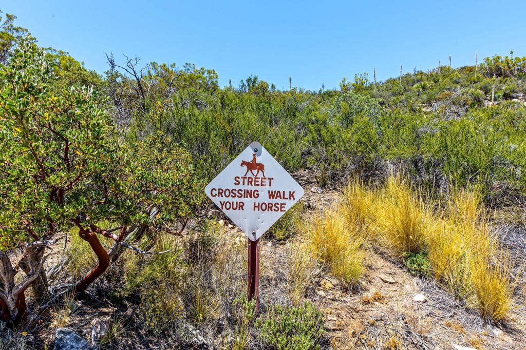36350 Butterfly Peak Road, Mountain Center, CA 92561 92-web-or-mls-Butterfly Peak 092
