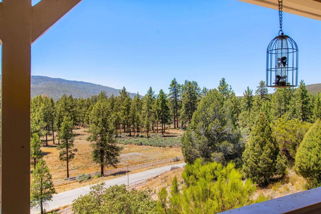 36350 Butterfly Peak Road, Mountain Center, CA 92561 58-web-or-mls-Butterfly Peak 058