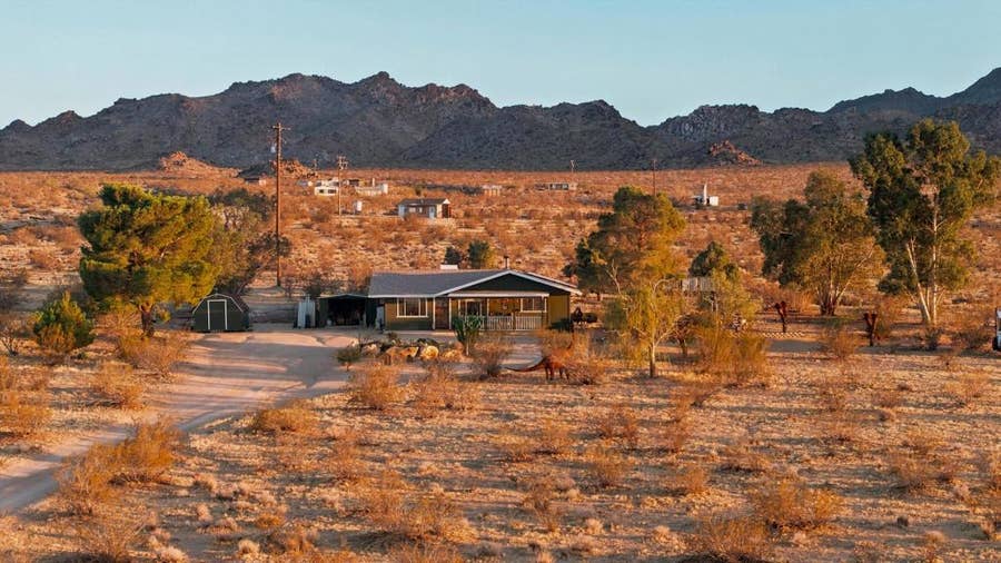 Property photo for 51155 Ocotillo Road, Johnson Valley, CA