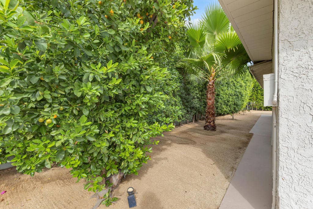 3967 E Sunny Dunes Road, Palm Springs, CA 92264 IMG_7278