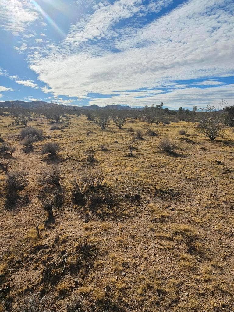 Valley View Rd Road, Johnson Valley, CA 92285 lot pic start