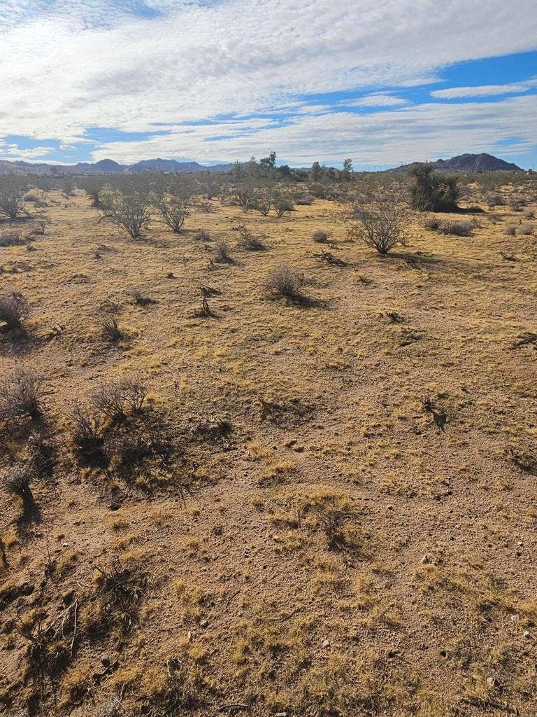 Valley View Rd Road, Johnson Valley, CA 92285 1000023548