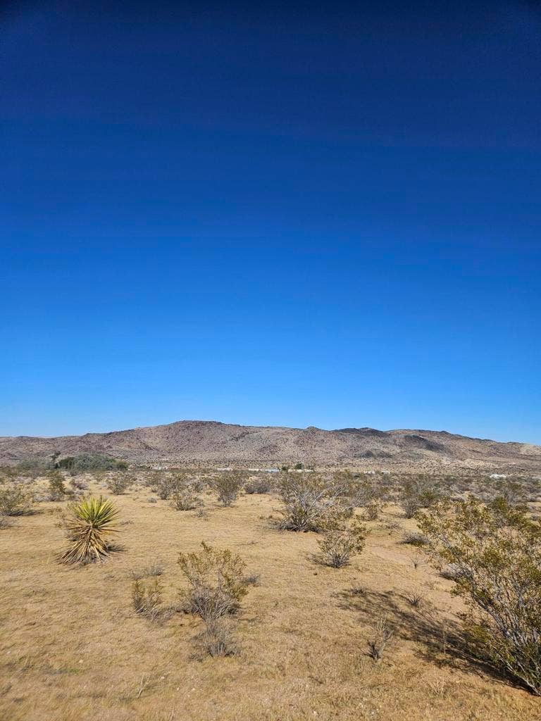 Valley View Rd Road, Johnson Valley, CA 92285 1000023556