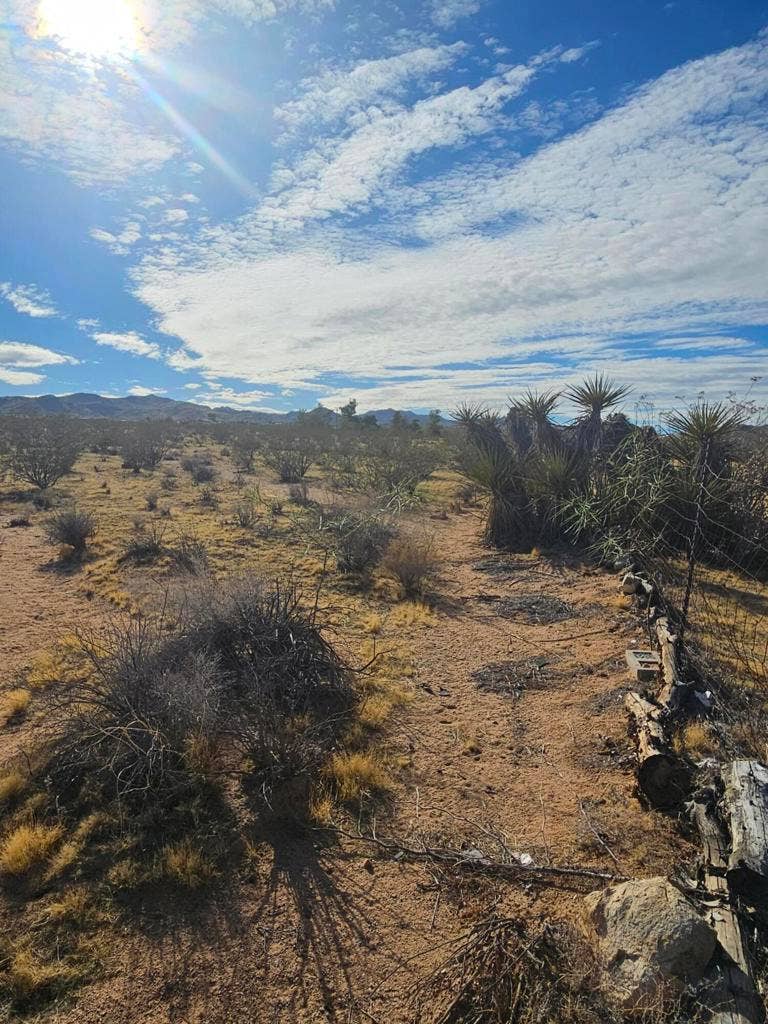 Valley View Rd Road, Johnson Valley, CA 92285 1000023545