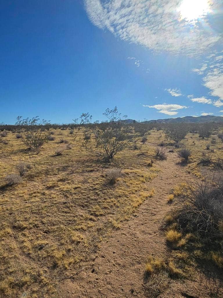 Valley View Rd Road, Johnson Valley, CA 92285 1000023543