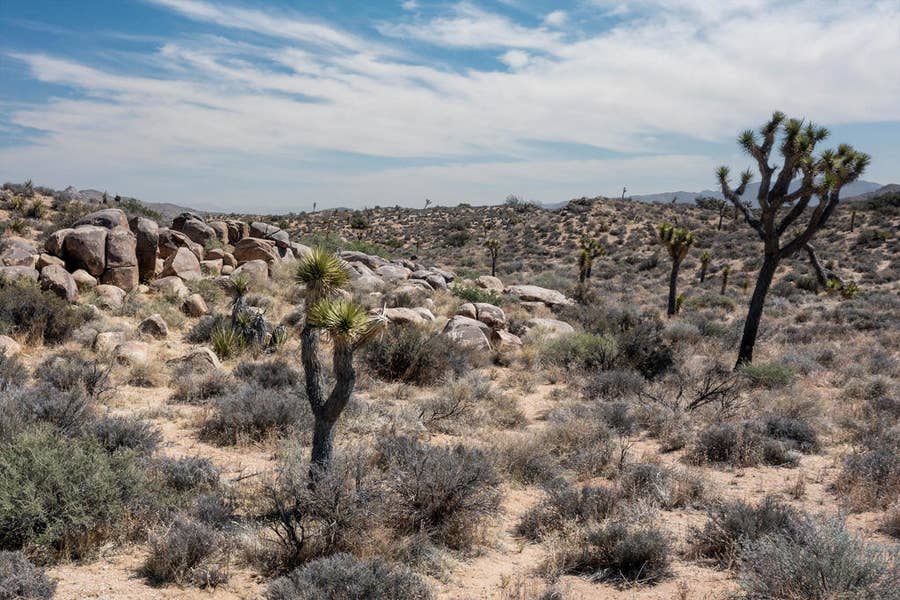 Property photo for 101 Hondo Street, Pioneertown, CA