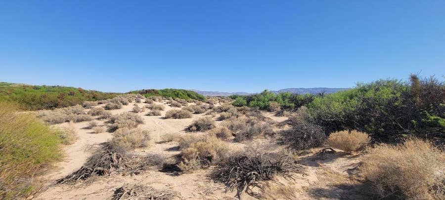 Property photo for 1655 La Buena Tierra Avenue, Palms, CA