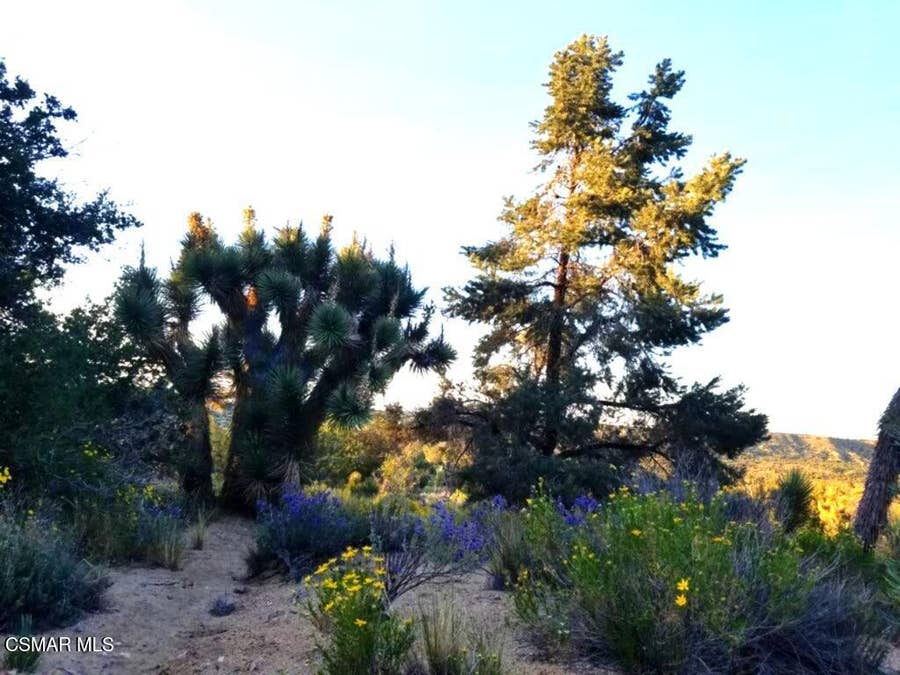 Property photo for Off Big Pines Hwy. Road, Llano, CA