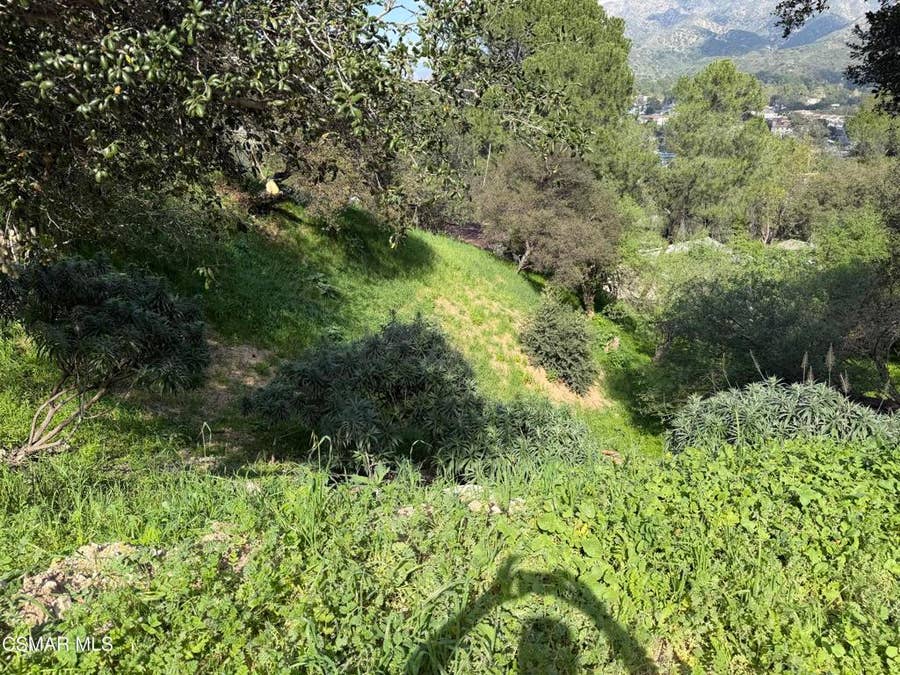 Property photo for Flora Morgan Trail, Tujunga, CA