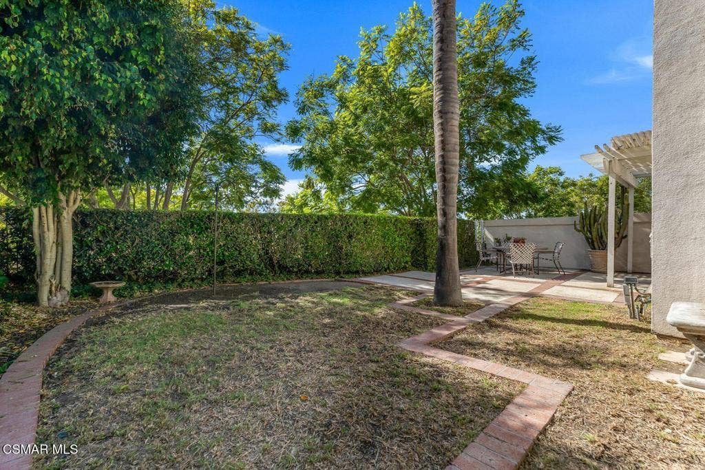 Back yard-2