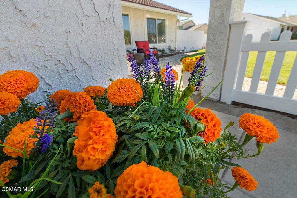 2676 Castillo Circle, Thousand Oaks, CA 91360 01