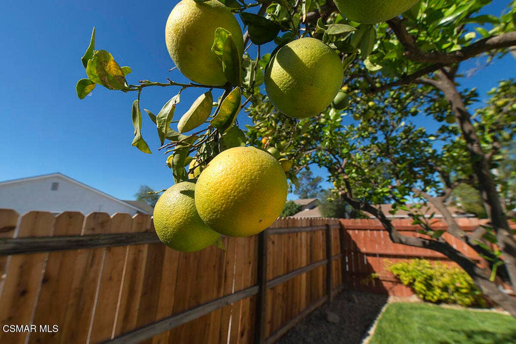2676 Castillo Circle, Thousand Oaks, CA 91360 36