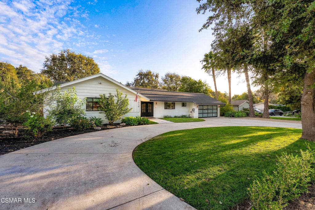 Circular Driveway