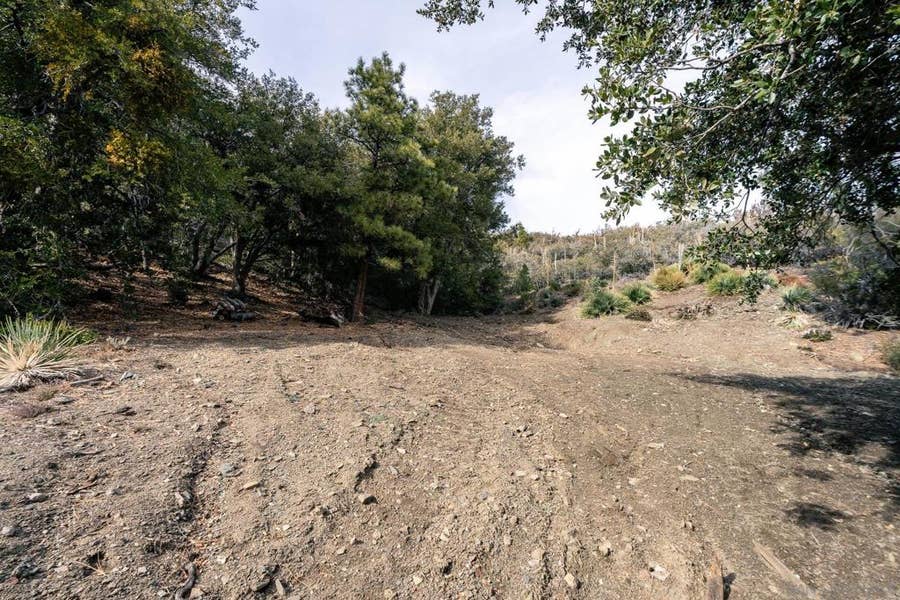 Property photo for 0 Timberline Dr, Wrightwood, CA