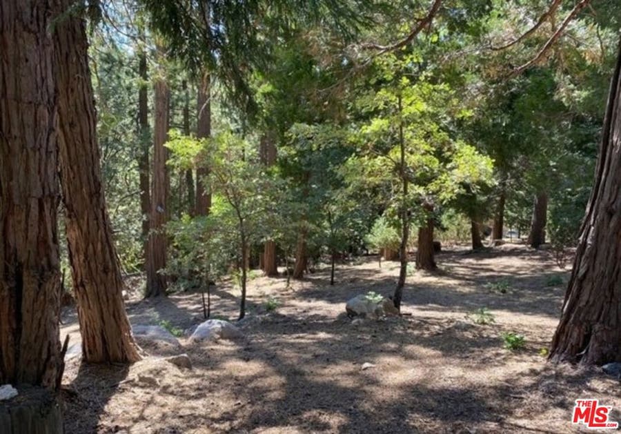 Property photo for 0 Grass Valley, Lake Arrowhead, CA