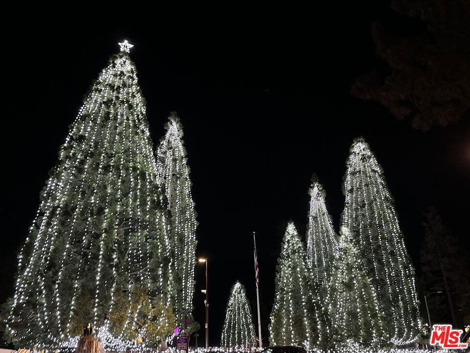 Holidays in Idyllwild
