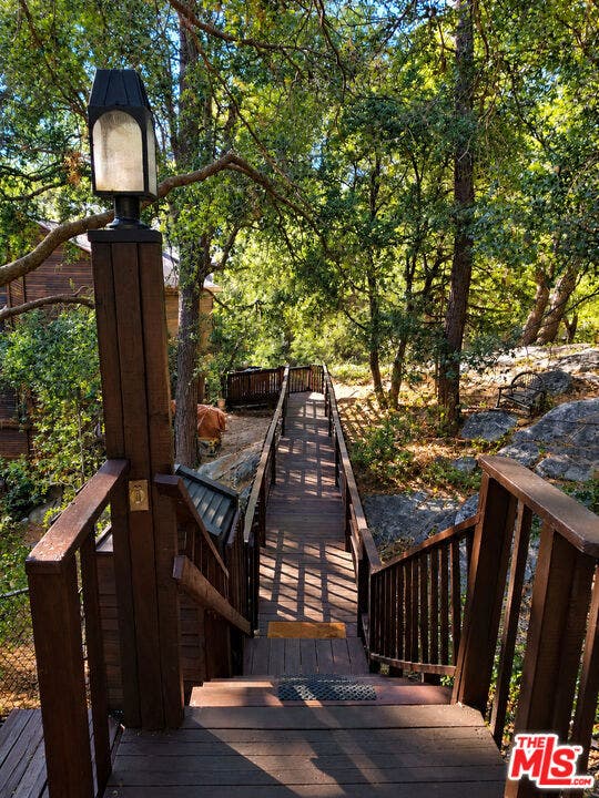 Forest walkway