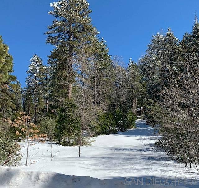 Property photo for 0 Laurel Trail, Idyllwild, CA