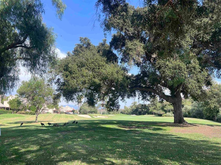 Property photo for 23621 Country Villa Rd, Ramona, CA