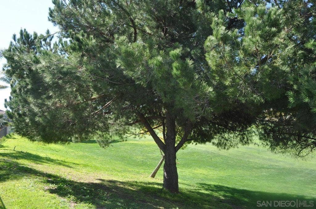 2387 Forest Meadow Court, Chula Vista, CA 91915 2387 Forest Meadow Court, Chula Vista, CA 91915